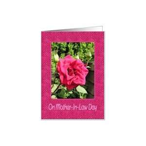  Mother in law Day   Cerise Rose Card Health & Personal 