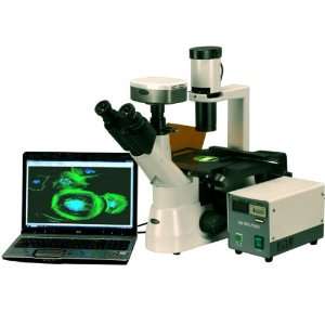 AmScope 40x 1000x Plan Phase Contrast Fluorescent Inverted Microscope 