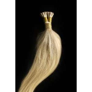 16 100grs,100s,Stick (I) Tip Human Hair Extensions #24 Light Golden 
