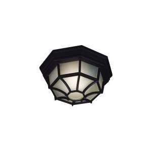  Dural Ceiling Fixture 12 W Kenroy Home 16289BL Kitchen 