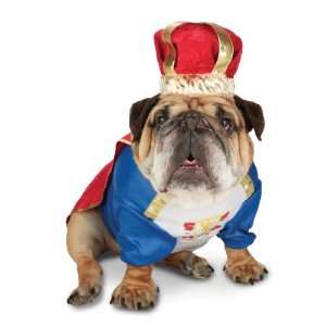 Lets Party By Paper Magic Zelda Canine King Pet Costume / Blue   Size 