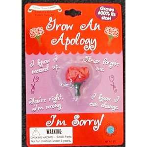  I Apologize Roses