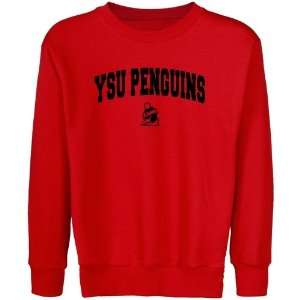  Youngstown State Penguins Youth Red Logo Arch Crew Neck 