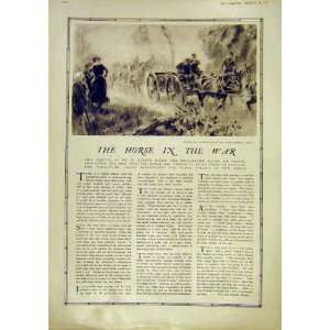 Horse War Hero Ypres Horses Troops Old Print 1917 