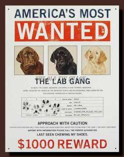   Metal Sign   Wanted Poster The Lab Labrador Gang Dog Pet #1182  