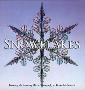   Snowflake Winters Secret Beauty by Kenneth 