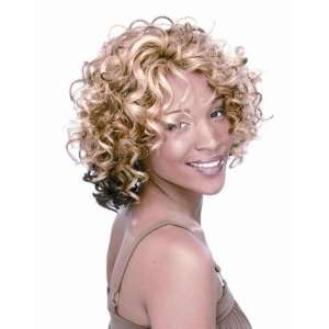 Afro Beauty Collection Synthetic Hair Wig   Isabel   Color 2   Darkest 