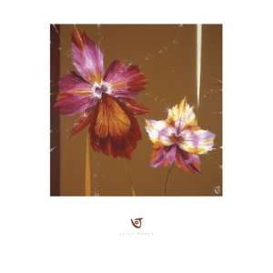  Orchids & Seeds   Poster by Julia Ogden (23.5 x 31.5 