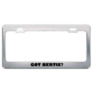  Got Bertie? Girl Name Metal License Plate Frame Holder 