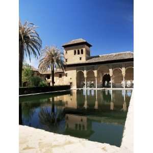  in Pool, Alhambra, Unesco World Heritage Site, Andalucia, Spain 