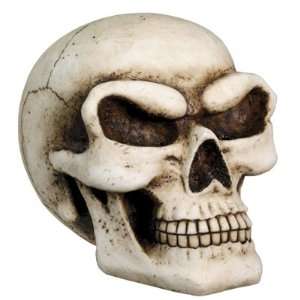  Skulls and Skeletons   Skull Money Bank   Cold Cast Resin 