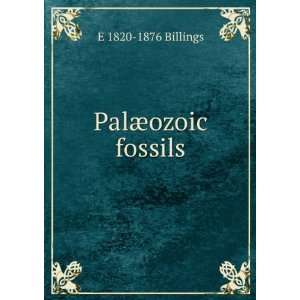  PalÃ¦ozoic fossils E 1820 1876 Billings Books
