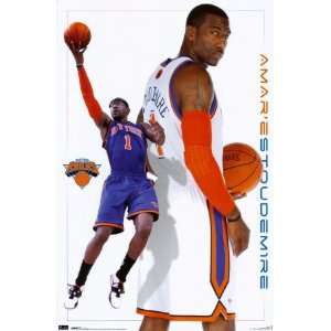  Knicks   A Stoudemire 2010 Poster Print, 22x34