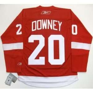Aaron Downey Detroit Red Wings Jersey Real Rbk