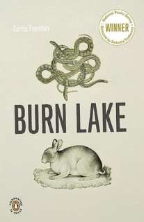 burn lake carrie fountain paperback $ 16 88 buy now
