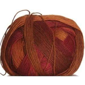  Schoppel Wolle Yarn   Zauberball Yarn   1874 Gebrannte 