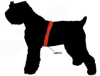 Nylon Dog Harness For Pitbull Boxer BullDog  