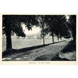  1937 Rotogravure Tree Lined Road Abreschviller France 