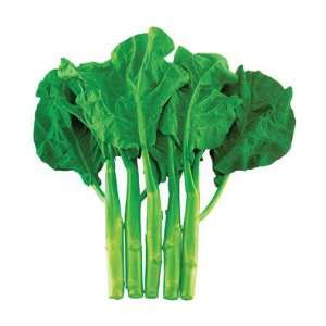  Davids Hybrid Broccoli Greens Suiho 200 Seeds per Packet 