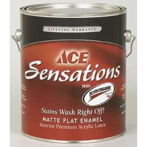  Ace Sensations Premium Flat Latex Interior Paint