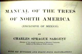 1905 Trees of North America by Sargent A 3  