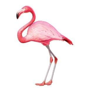  Flamingo Joint Luau Cutout Decorations Health & Personal 