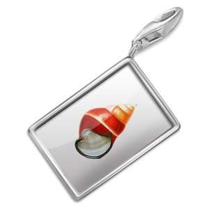  FotoCharms Shell   Charm with Lobster Clasp For Charms 