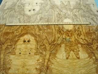 Olive Ash Burl wood veneer 48 x 79 with wood backer  