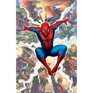  Spider Man Rivals Poster, 22 x 34