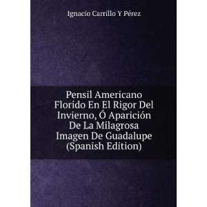   De Guadalupe (Spanish Edition) Ignacio Carrillo Y PÃ©rez Books