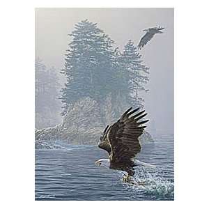    Lee Kromschroeder   Fly Fishing   Bald Eagles