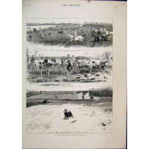    1881 Stag Hounds Horses Field Deer Running Country