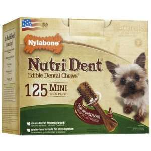  Nylabone Nutri Dent Filet Mignon   Mini   125 ct (Quantity 