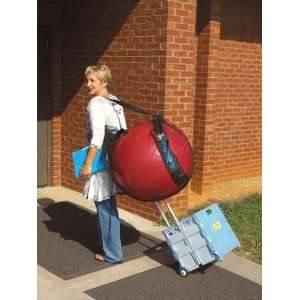 Therapy Ball Carrier