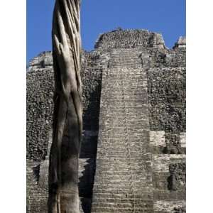  Belize, Lamanai, High Temple the Highest Temple in Lamanai 