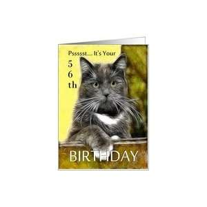  Birthday ~ Age Specific 56th ~ Cat in a box Card Toys 