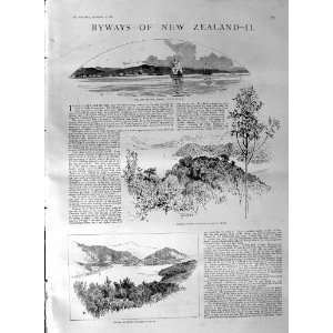  1887 New Zealand Picton Pelorus Whaling Table Mountain 