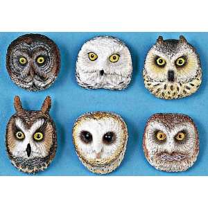  Owl Magnets 