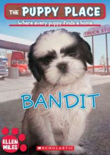   Place #24 Bandit by Miles Ellen, Scholastic, Inc.  NOOK Book (eBook