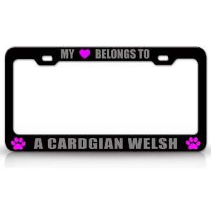 MY HEART BELONGS TO A CARDIGAN WELSH Dog Pet Steel Metal Auto License 