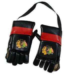  Chicago Blackhawks Mini Hockey Gloves