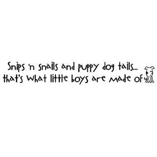 Snips n snails and puppy dog tailsthats what little boys are made 