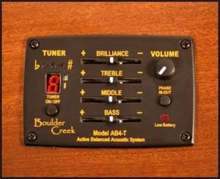   WIDTH 2 PICKUP SYSTEM AB4 T preamp with built in chromatic tuner