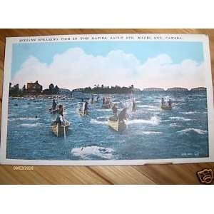  Indians Spearing Fish Ste. Marie Canada Postcard 