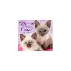  Kittens and Cats 2009 Mini Wall Calendar