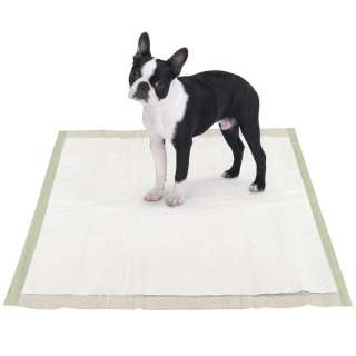   Biodegradable Eco Friendly Puppy Wee Wee Training Pads 200ct  