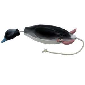  Dokken Dead Fowl Trainer Bufflehead