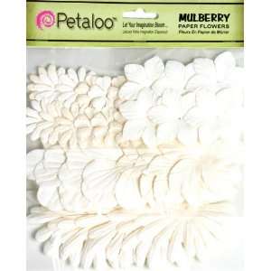 All Whites   Daisy Assorted Pack   Petaloo Arts, Crafts 