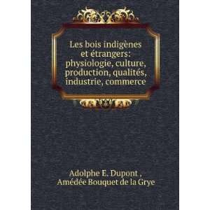   production, qualitÃ©s, industrie, commerce AmÃ©dÃ©e Bouquet de