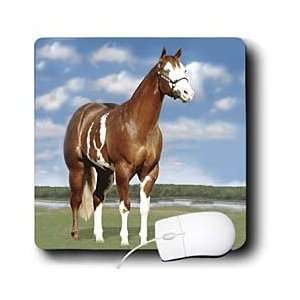 Horse   Champion Paint Quarter Horse   Mouse Pads 